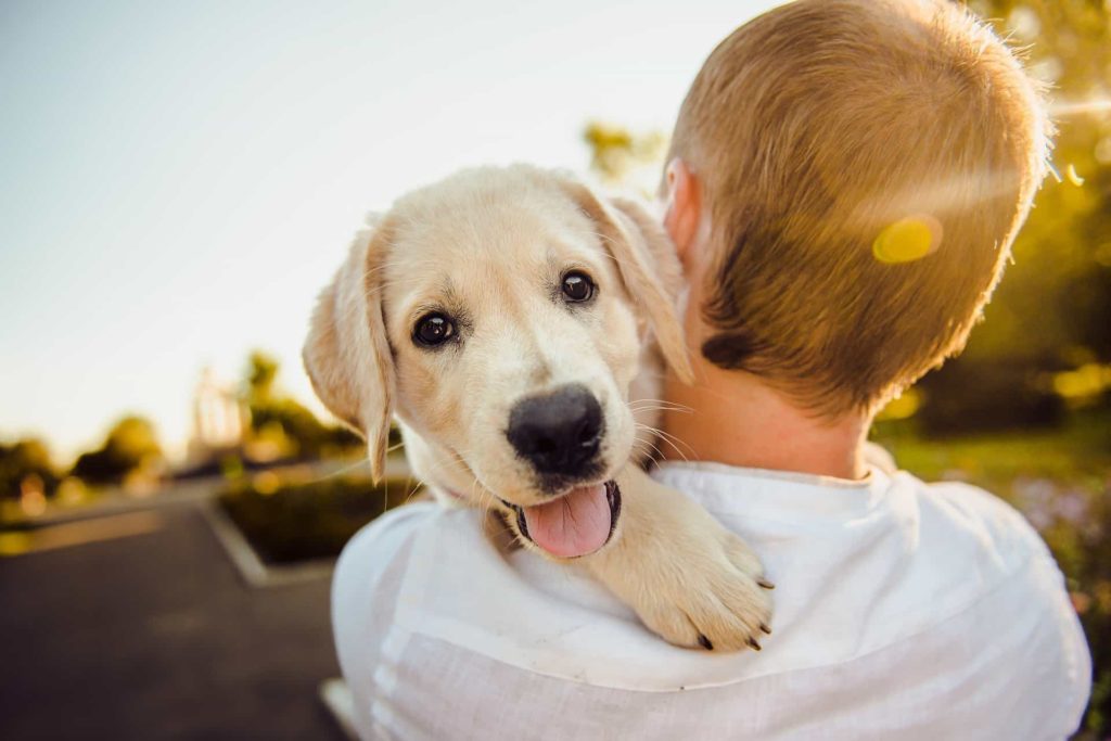 man holding puppy (dog bite blog)