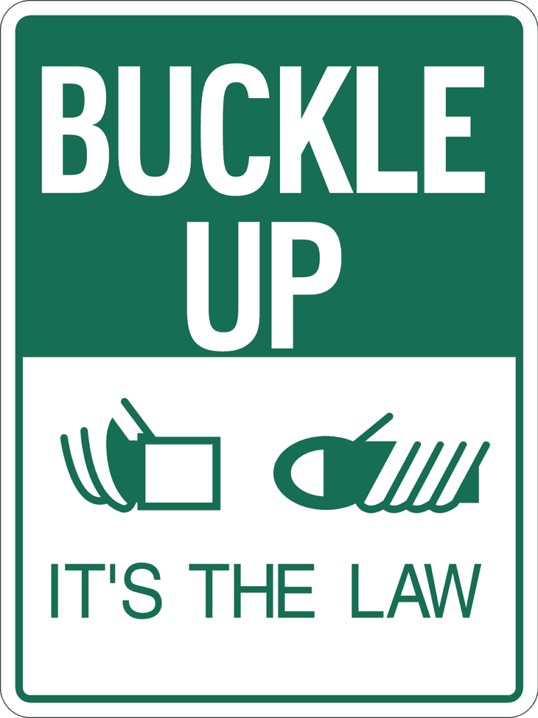 buckle up its the law sign car seat safety